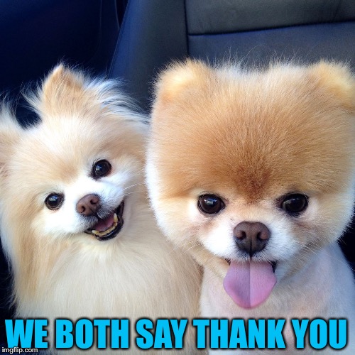 WE BOTH SAY THANK YOU | made w/ Imgflip meme maker