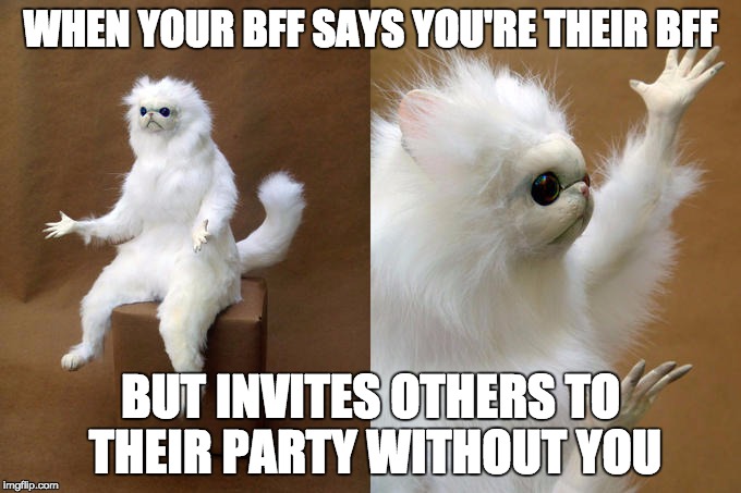 Persian Cat Room Guardian | WHEN YOUR BFF SAYS YOU'RE THEIR BFF; BUT INVITES OTHERS TO THEIR PARTY WITHOUT YOU | image tagged in memes,persian cat room guardian | made w/ Imgflip meme maker