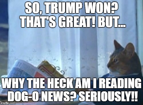 I Should Buy A Boat Cat | SO, TRUMP WON? THAT'S GREAT! BUT... WHY THE HECK AM I READING DOG-O NEWS? SERIOUSLY!! | image tagged in memes,i should buy a boat cat | made w/ Imgflip meme maker