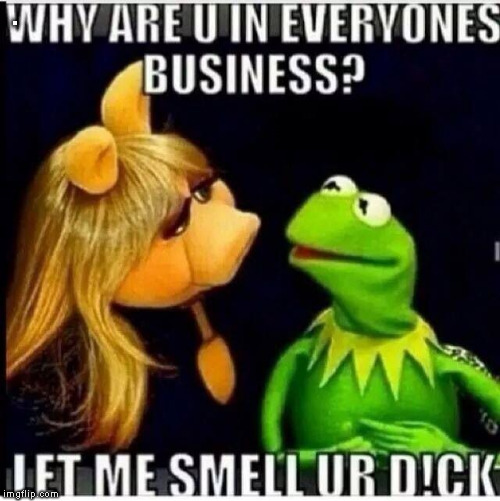 You Are in Everyone's business, Kermit HAHAHAHA  | . | image tagged in kermit the frog,miss piggy | made w/ Imgflip meme maker