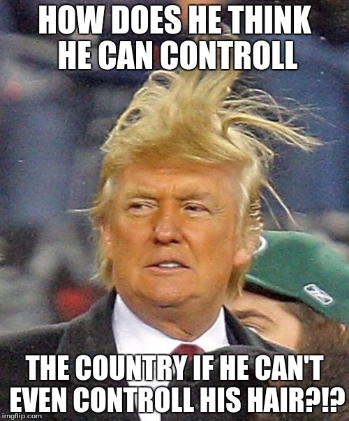 Donald Trumph hair | HOW DOES HE THINK HE CAN CONTROLL; THE COUNTRY IF HE CAN'T EVEN CONTROLL HIS HAIR?!? | image tagged in donald trumph hair | made w/ Imgflip meme maker