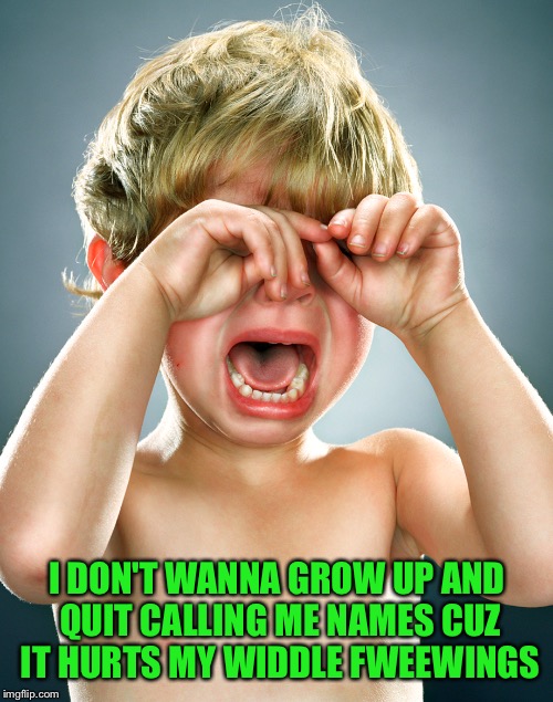I DON'T WANNA GROW UP AND QUIT CALLING ME NAMES CUZ IT HURTS MY WIDDLE FWEEWINGS | made w/ Imgflip meme maker