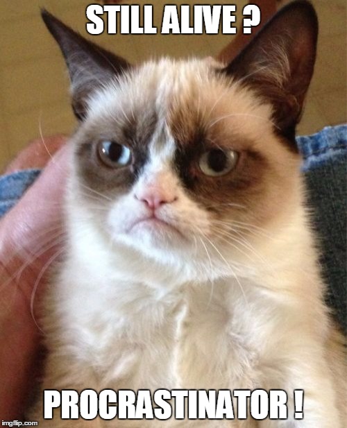 Grumpy Cat Meme | STILL ALIVE ? PROCRASTINATOR ! | image tagged in memes,grumpy cat | made w/ Imgflip meme maker