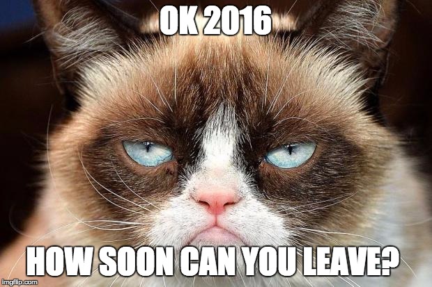 Grumpy Cat Not Amused Meme | OK 2016; HOW SOON CAN YOU LEAVE? | image tagged in memes,grumpy cat not amused,grumpy cat | made w/ Imgflip meme maker