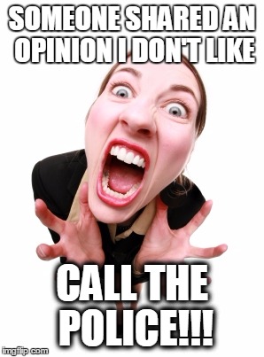 Screaming woman | SOMEONE SHARED AN OPINION I DON'T LIKE; CALL THE POLICE!!! | image tagged in screaming woman | made w/ Imgflip meme maker