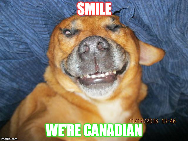 doggie | SMILE; WE'RE CANADIAN | image tagged in funny dogs | made w/ Imgflip meme maker