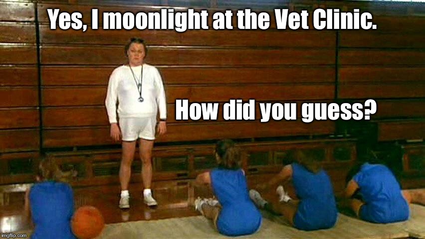 Yes, I moonlight at the Vet Clinic. How did you guess? | made w/ Imgflip meme maker