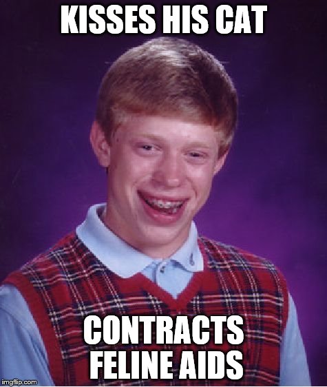 Bad Luck Brian | KISSES HIS CAT; CONTRACTS FELINE AIDS | image tagged in memes,bad luck brian | made w/ Imgflip meme maker