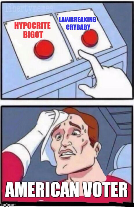 You are free to choose the lesser of 2 evils | LAWBREAKING CRYBABY; HYPOCRITE BIGOT; AMERICAN VOTER | image tagged in freedom | made w/ Imgflip meme maker