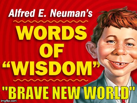  Neuman's Words of Wisdom | "BRAVE NEW WORLD" | image tagged in neuman's words of wisdom | made w/ Imgflip meme maker