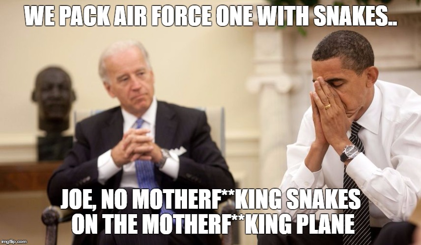 Biden | WE PACK AIR FORCE ONE WITH SNAKES.. JOE, NO MOTHERF**KING SNAKES ON THE MOTHERF**KING PLANE | image tagged in biden | made w/ Imgflip meme maker