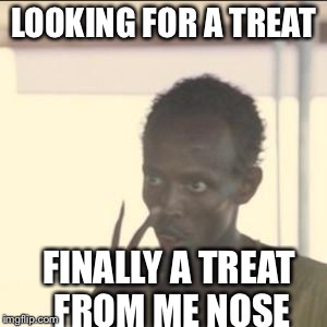 Look At Me | LOOKING FOR A TREAT; FINALLY A TREAT FROM ME NOSE | image tagged in memes,look at me | made w/ Imgflip meme maker