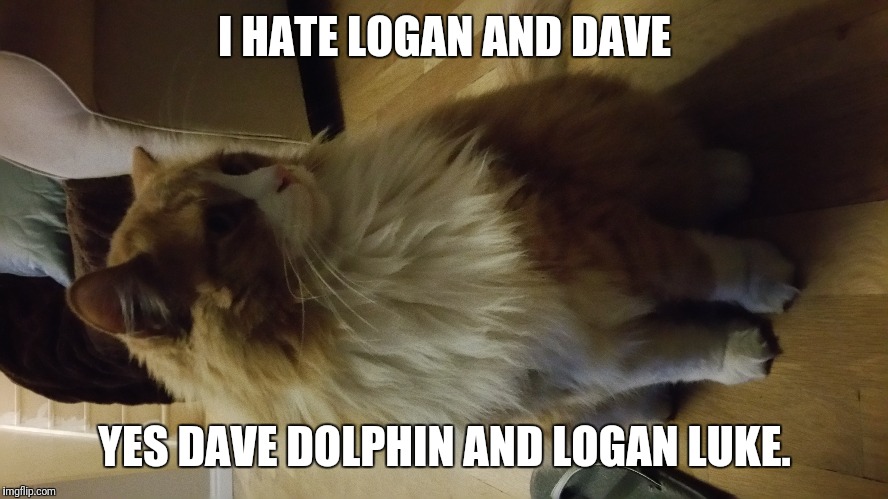 I HATE LOGAN AND DAVE; YES DAVE DOLPHIN AND LOGAN LUKE. | image tagged in dave chappelle | made w/ Imgflip meme maker