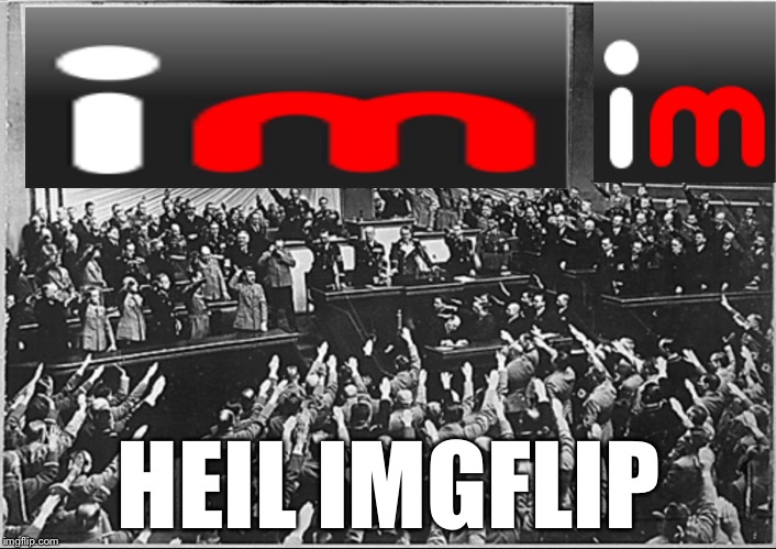 HEIL IMGFLIP OR YOU WILL BR SENT TO THE CONCENTRATION CAMPS IN IMGUR! | HEIL IMGFLIP | image tagged in heil imgflip | made w/ Imgflip meme maker