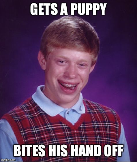 Bad Luck Brian | GETS A PUPPY; BITES HIS HAND OFF | image tagged in memes,bad luck brian | made w/ Imgflip meme maker