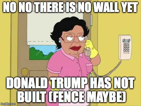Consuela | NO NO THERE IS NO WALL YET; DONALD TRUMP HAS NOT BUILT
(FENCE MAYBE) | image tagged in memes,consuela | made w/ Imgflip meme maker