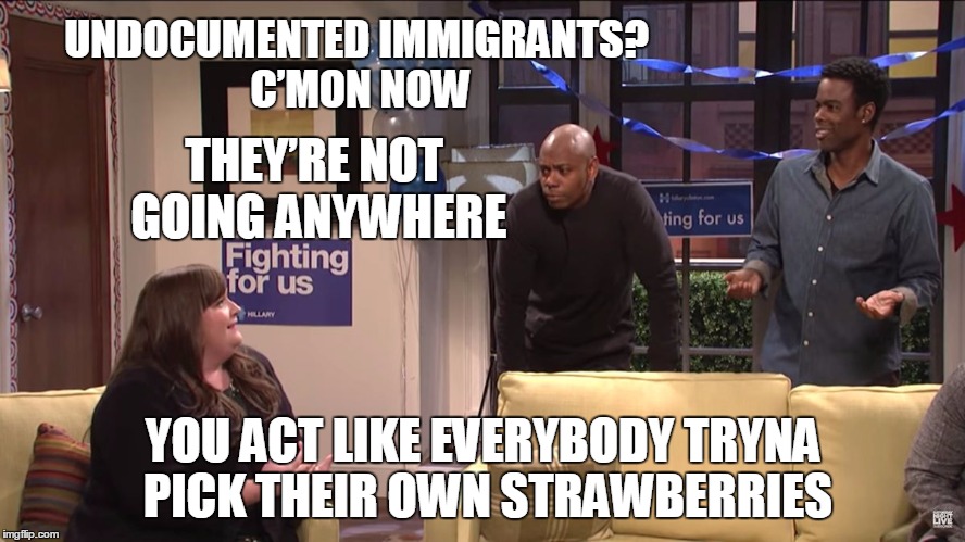 The man has a point.... | UNDOCUMENTED IMMIGRANTS?  C’MON NOW; THEY’RE NOT GOING ANYWHERE; YOU ACT LIKE EVERYBODY TRYNA PICK THEIR OWN STRAWBERRIES | image tagged in chappelle,snl,trump | made w/ Imgflip meme maker
