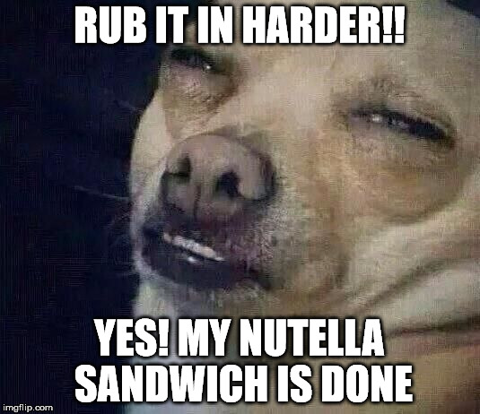 Too Dank |  RUB IT IN HARDER!! YES! MY NUTELLA SANDWICH IS DONE | image tagged in too dank | made w/ Imgflip meme maker