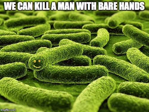 Small But Deadly | WE CAN KILL A MAN WITH BARE HANDS | image tagged in bacteria | made w/ Imgflip meme maker