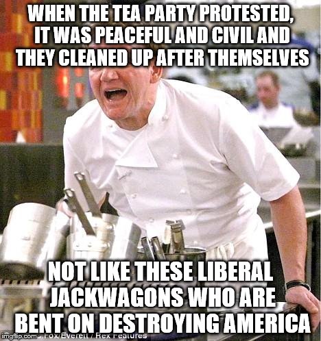 Chef Gordon Ramsay | WHEN THE TEA PARTY PROTESTED, IT WAS PEACEFUL AND CIVIL AND THEY CLEANED UP AFTER THEMSELVES; NOT LIKE THESE LIBERAL JACKWAGONS WHO ARE BENT ON DESTROYING AMERICA | image tagged in memes,chef gordon ramsay | made w/ Imgflip meme maker