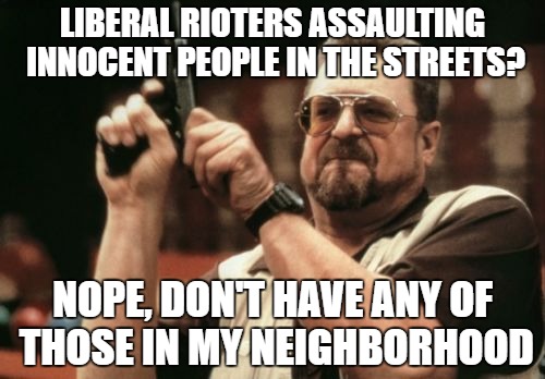 Rioting? | LIBERAL RIOTERS ASSAULTING INNOCENT PEOPLE IN THE STREETS? NOPE, DON'T HAVE ANY OF THOSE IN MY NEIGHBORHOOD | image tagged in memes,am i the only one around here,riots,donald trump | made w/ Imgflip meme maker
