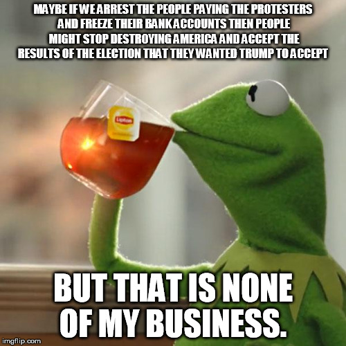 But That's None Of My Business Meme | MAYBE IF WE ARREST THE PEOPLE PAYING THE PROTESTERS AND FREEZE THEIR BANK ACCOUNTS THEN PEOPLE MIGHT STOP DESTROYING AMERICA AND ACCEPT THE RESULTS OF THE ELECTION THAT THEY WANTED TRUMP TO ACCEPT; BUT THAT IS NONE OF MY BUSINESS. | image tagged in memes,but thats none of my business,kermit the frog | made w/ Imgflip meme maker