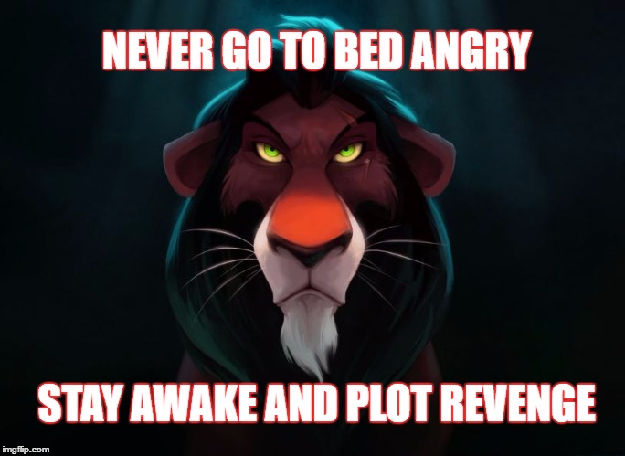 Scar | NEVER GO TO BED ANGRY; STAY AWAKE AND PLOT REVENGE | image tagged in revenge | made w/ Imgflip meme maker