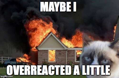 Burn Kitty | MAYBE I; OVERREACTED A LITTLE | image tagged in memes,burn kitty,grumpy cat | made w/ Imgflip meme maker