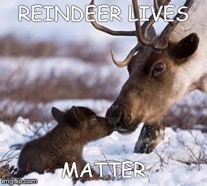 reindeer lives | REINDEER LIVES; MATTER | image tagged in reindeer,before thanksgiving | made w/ Imgflip meme maker