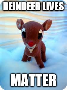 reindeer lives | REINDEER LIVES; MATTER | image tagged in reindeer,before thanksgiving | made w/ Imgflip meme maker