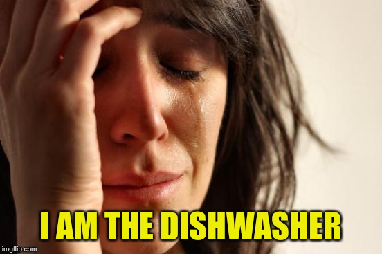 First World Problems Meme | I AM THE DISHWASHER | image tagged in memes,first world problems | made w/ Imgflip meme maker