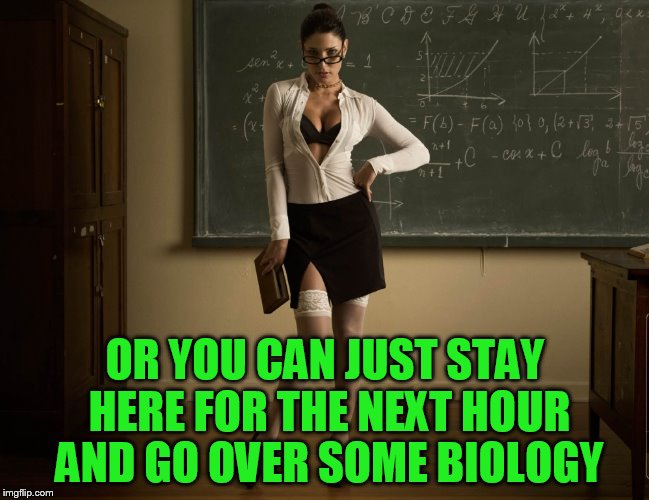 OR YOU CAN JUST STAY HERE FOR THE NEXT HOUR AND GO OVER SOME BIOLOGY | made w/ Imgflip meme maker