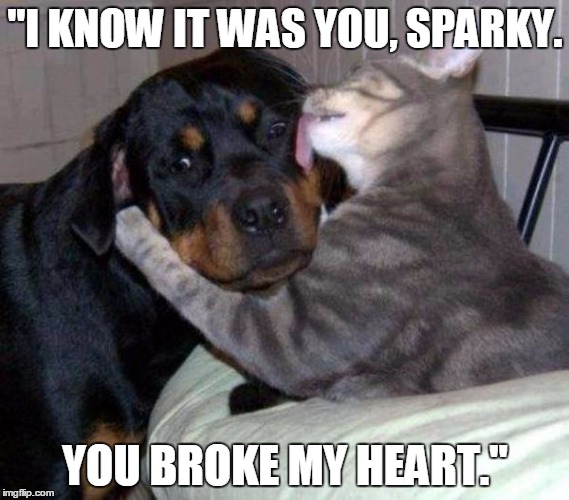 "I KNOW IT WAS YOU, SPARKY. YOU BROKE MY HEART." | image tagged in godfather,cat,dog,kiss,kiss of death | made w/ Imgflip meme maker