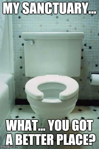 toilet | MY SANCTUARY... WHAT... YOU GOT A BETTER PLACE? | image tagged in toilet | made w/ Imgflip meme maker