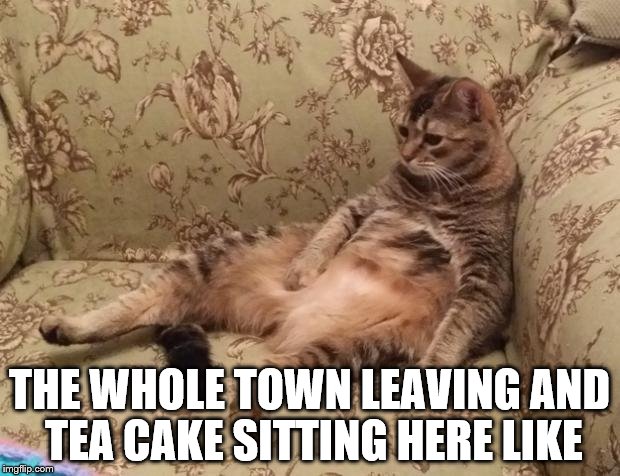 Mocha Chilling | THE WHOLE TOWN LEAVING AND TEA CAKE SITTING HERE LIKE | image tagged in mocha chilling | made w/ Imgflip meme maker