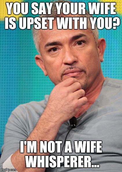 Confused Cesar Millan | YOU SAY YOUR WIFE IS UPSET WITH YOU? I'M NOT A WIFE WHISPERER... | image tagged in confused cesar millan | made w/ Imgflip meme maker