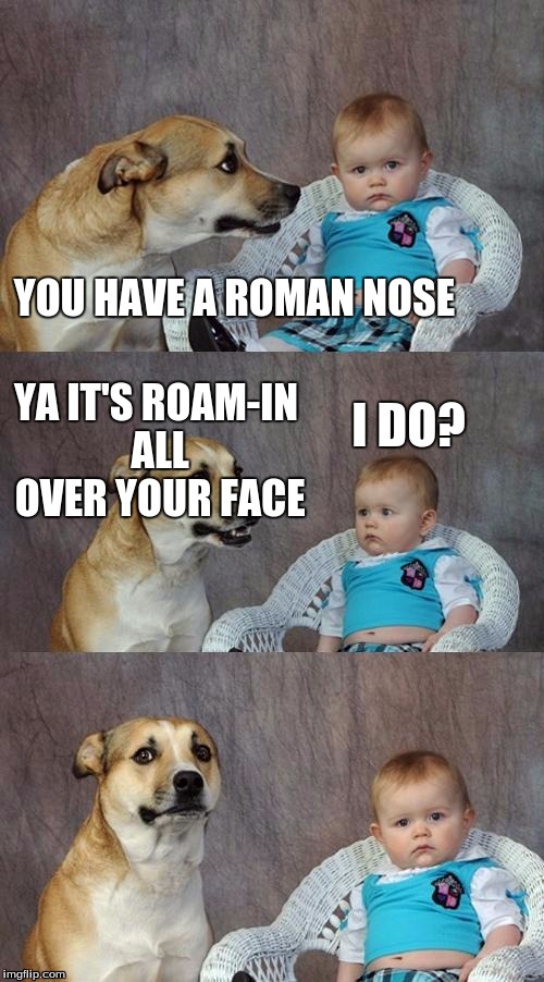 Dad Joke Dog Meme | YOU HAVE A ROMAN NOSE; YA IT'S ROAM-IN ALL OVER YOUR FACE; I DO? | image tagged in memes,dad joke dog | made w/ Imgflip meme maker