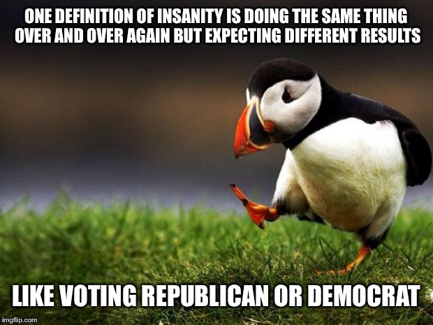 People would rather vote for a lesser evil than 3rd party. Nothing is going to change if we continue to do this... | ONE DEFINITION OF INSANITY IS DOING THE SAME THING OVER AND OVER AGAIN BUT EXPECTING DIFFERENT RESULTS; LIKE VOTING REPUBLICAN OR DEMOCRAT | image tagged in memes,unpopular opinion puffin | made w/ Imgflip meme maker