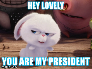 Secret Life of Pets - Snowball #3 | HEY LOVELY; YOU ARE MY PRESIDENT | image tagged in secret life of pets - snowball 3 | made w/ Imgflip meme maker