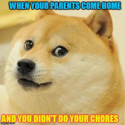 Doge | WHEN YOUR PARENTS COME HOME; AND YOU DIDN'T DO YOUR CHORES | image tagged in memes,doge | made w/ Imgflip meme maker