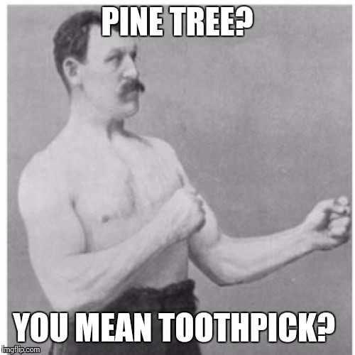 Overly Manly Man | PINE TREE? YOU MEAN TOOTHPICK? | image tagged in memes,overly manly man | made w/ Imgflip meme maker