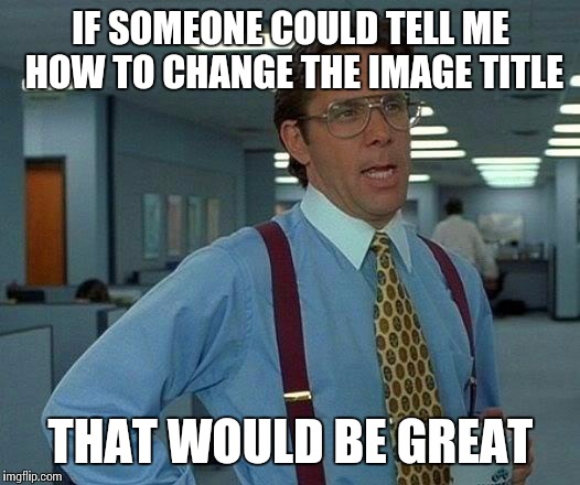 That Would Be Great | IF SOMEONE COULD TELL ME HOW TO CHANGE THE IMAGE TITLE; THAT WOULD BE GREAT | image tagged in memes,that would be great | made w/ Imgflip meme maker