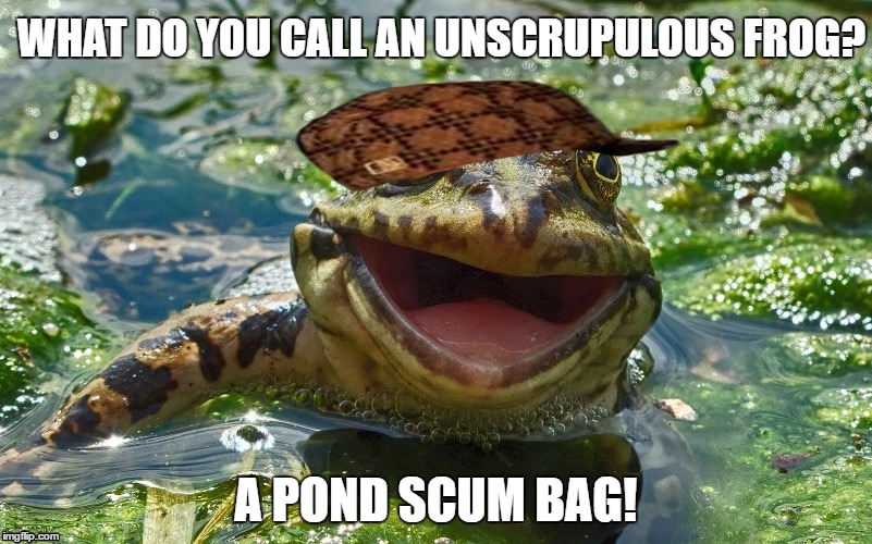 Scum bag frog(Todaysreality's template) | WHAT DO YOU CALL AN UNSCRUPULOUS FROG? A POND SCUM BAG! | image tagged in frog pond,scumbag,meme,bad pun,frog puns,todaysreality | made w/ Imgflip meme maker
