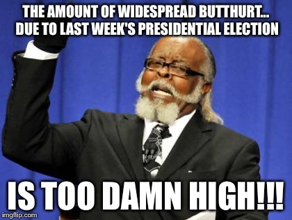 Too Damn High | THE AMOUNT OF WIDESPREAD BUTTHURT... DUE TO LAST WEEK'S PRESIDENTIAL ELECTION; IS TOO DAMN HIGH!!! | image tagged in memes,too damn high | made w/ Imgflip meme maker