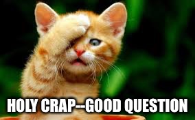 HOLY CRAP--GOOD QUESTION | made w/ Imgflip meme maker