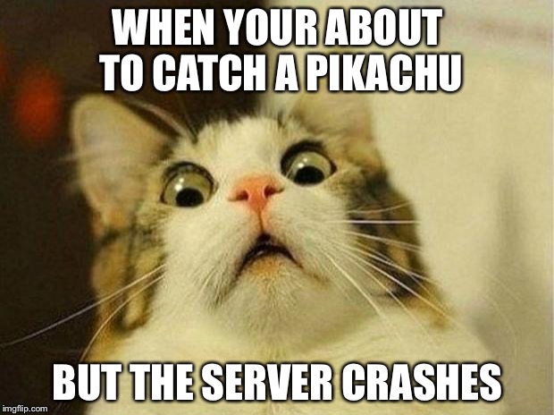 Scared Cat Meme | WHEN YOUR ABOUT TO CATCH A PIKACHU; BUT THE SERVER CRASHES | image tagged in memes,scared cat | made w/ Imgflip meme maker