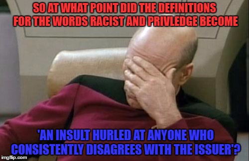 Captain Picard Facepalm | SO AT WHAT POINT DID THE DEFINITIONS FOR THE WORDS RACIST AND PRIVLEDGE BECOME; 'AN INSULT HURLED AT ANYONE WHO CONSISTENTLY DISAGREES WITH THE ISSUER'? | image tagged in memes,captain picard facepalm | made w/ Imgflip meme maker
