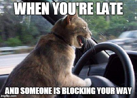 Cats Driving | WHEN YOU'RE LATE; AND SOMEONE IS BLOCKING YOUR WAY | image tagged in memes,cats | made w/ Imgflip meme maker
