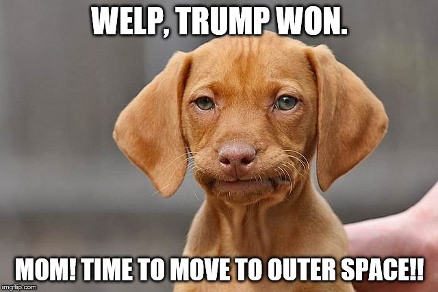 Kinda Done Dog | WELP, TRUMP WON. MOM! TIME TO MOVE TO OUTER SPACE!! | image tagged in kinda done dog | made w/ Imgflip meme maker