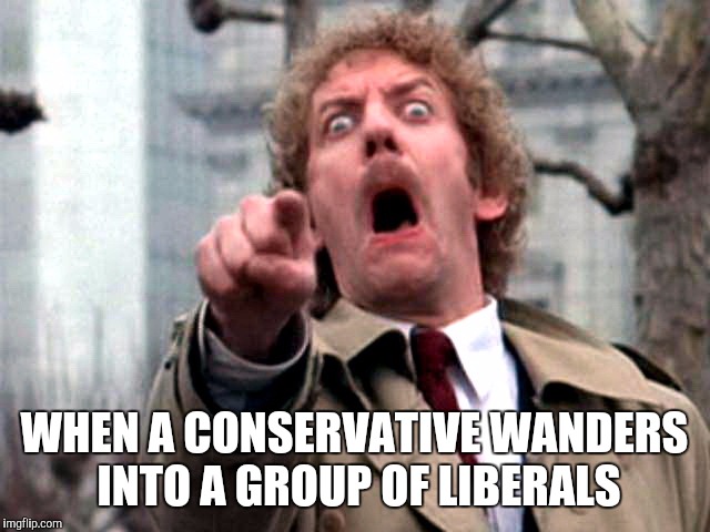 Screaming Donald Sutherland | WHEN A CONSERVATIVE WANDERS INTO A GROUP OF LIBERALS | image tagged in screaming donald sutherland | made w/ Imgflip meme maker